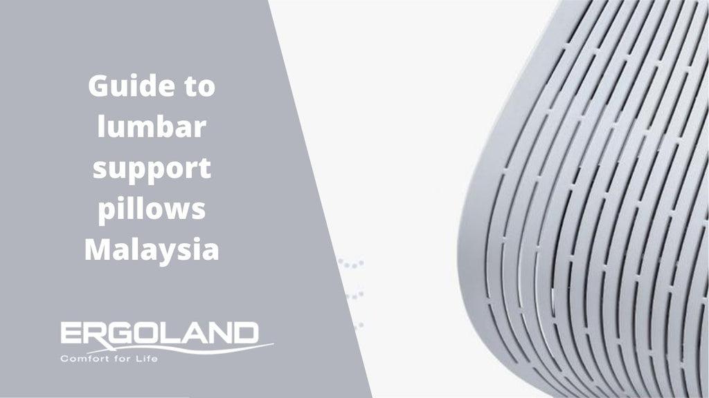 Guide to lumbar supports Malaysia Ergoland