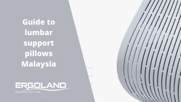 Guide to lumbar supports Malaysia