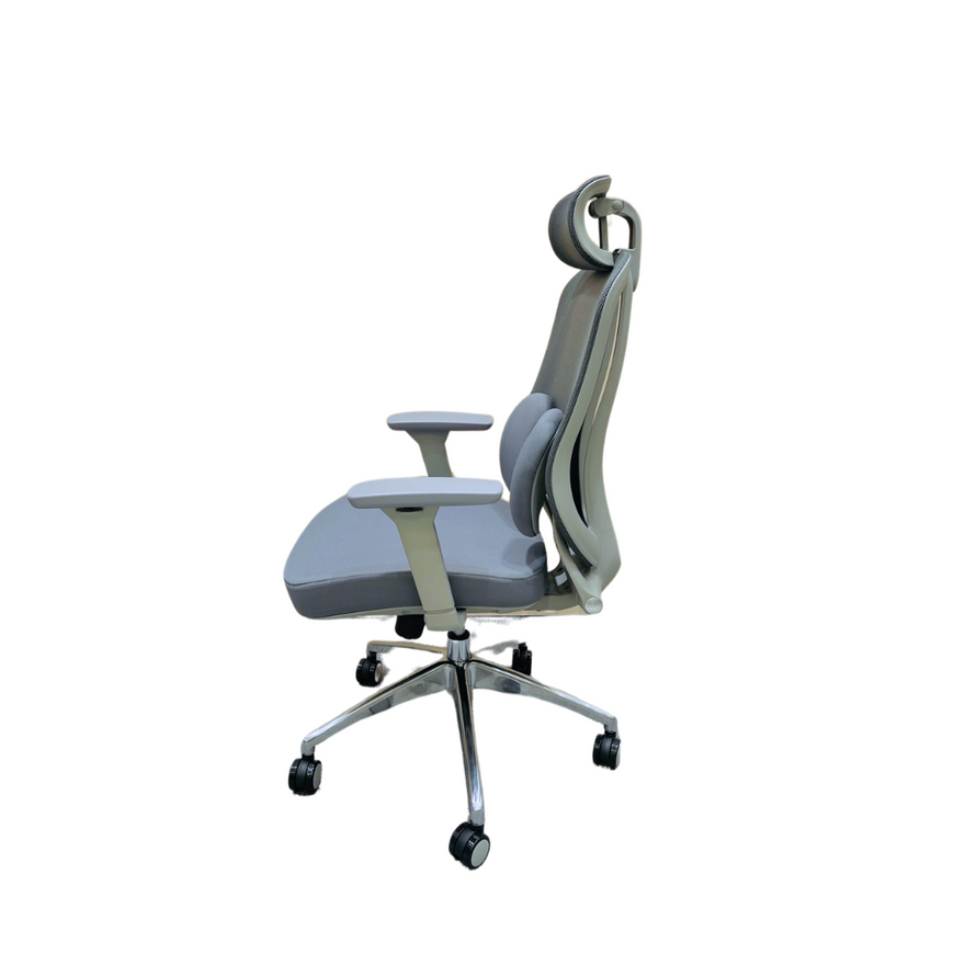 Ergo Duo Mesh Cushion Chair