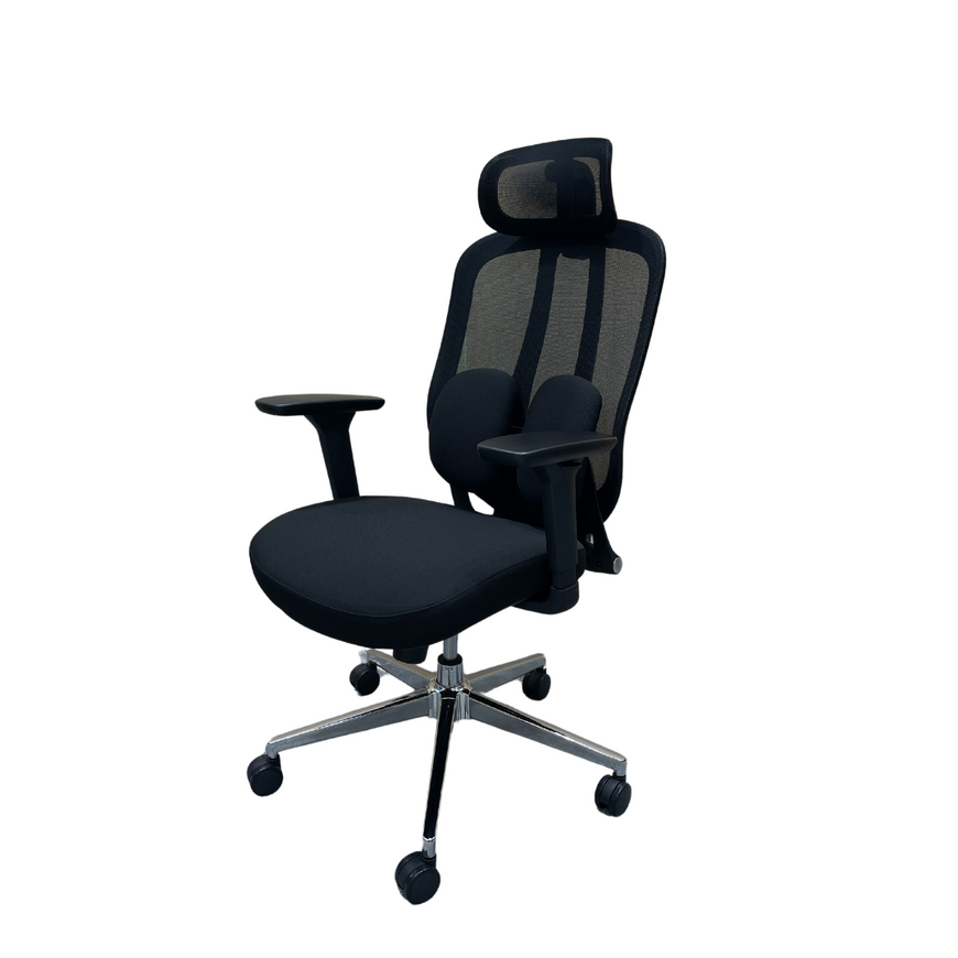 Ergo Duo Mesh Cushion Chair