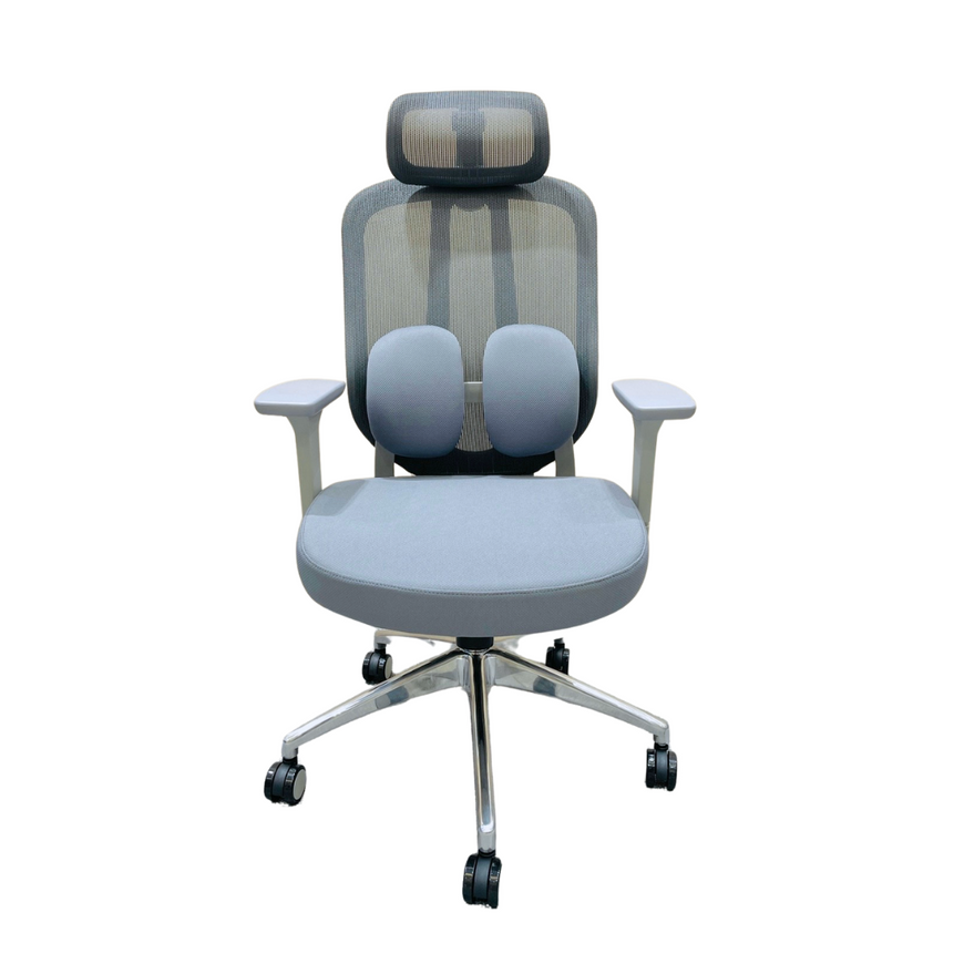 Ergo Duo Mesh Cushion Chair