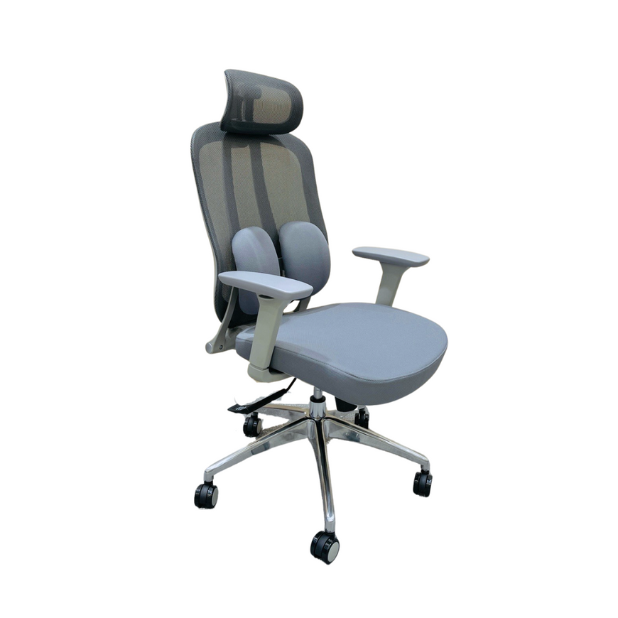 Ergo Duo Mesh Cushion Chair