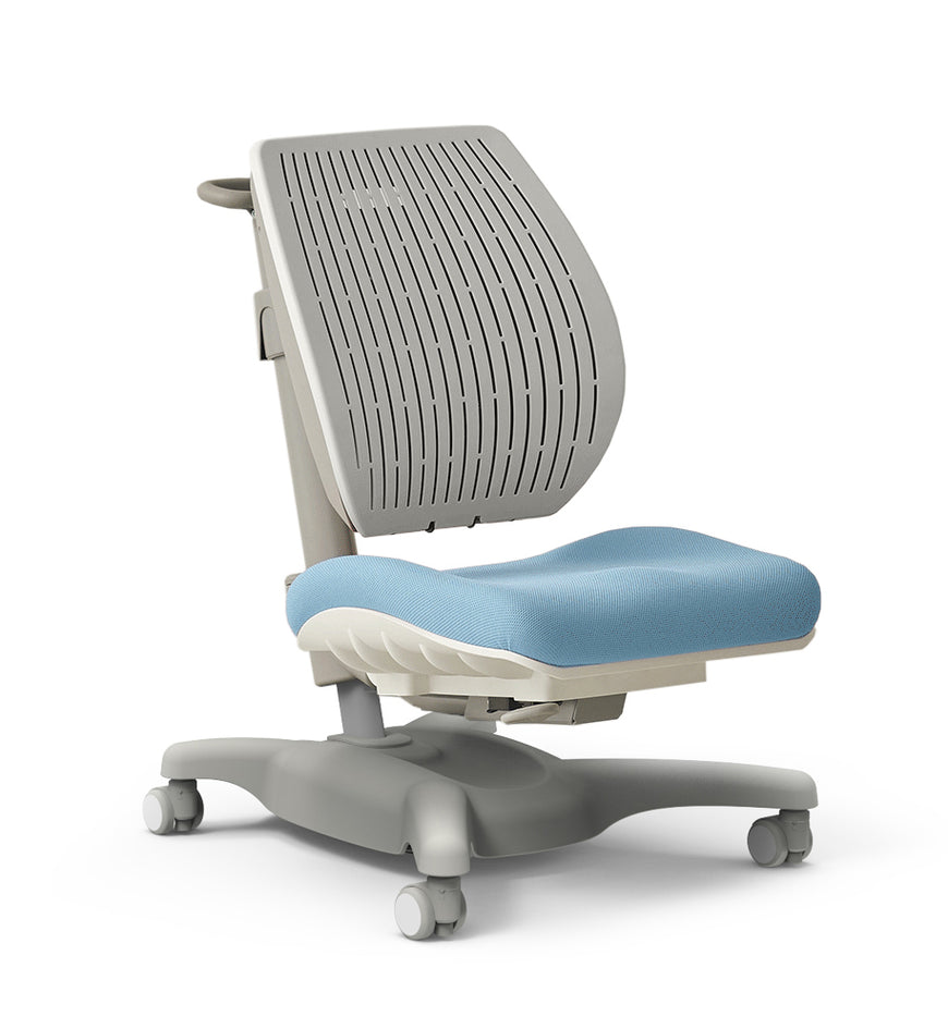 Y-1020 Ultraback Chair