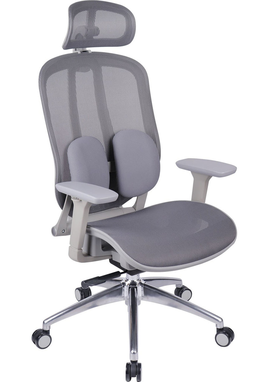 Ergo Duo Mesh Chair