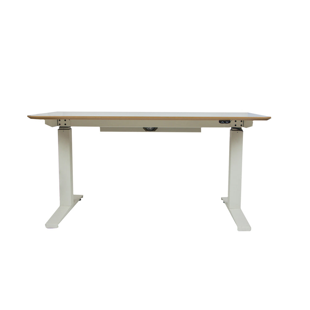 ED101 Electrical Sit stand Desk 4