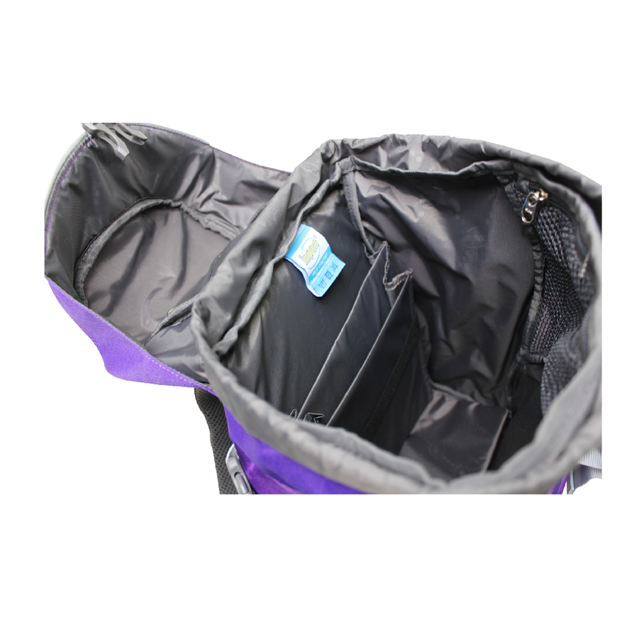 Impact Backpack (IPEG-226) Purple 3