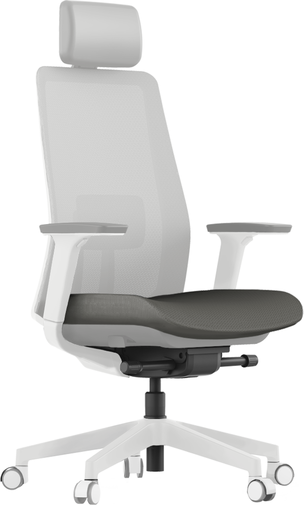 Krede K10 ergonomic chair (Light Grey frame with Grey cushion)