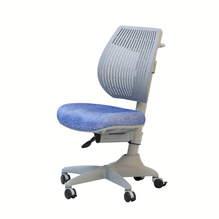 Speed Ultra Ergonomic Chair